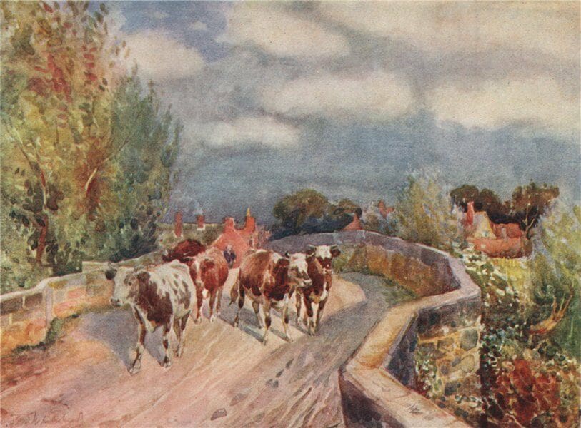 Marton Village History with David Fry