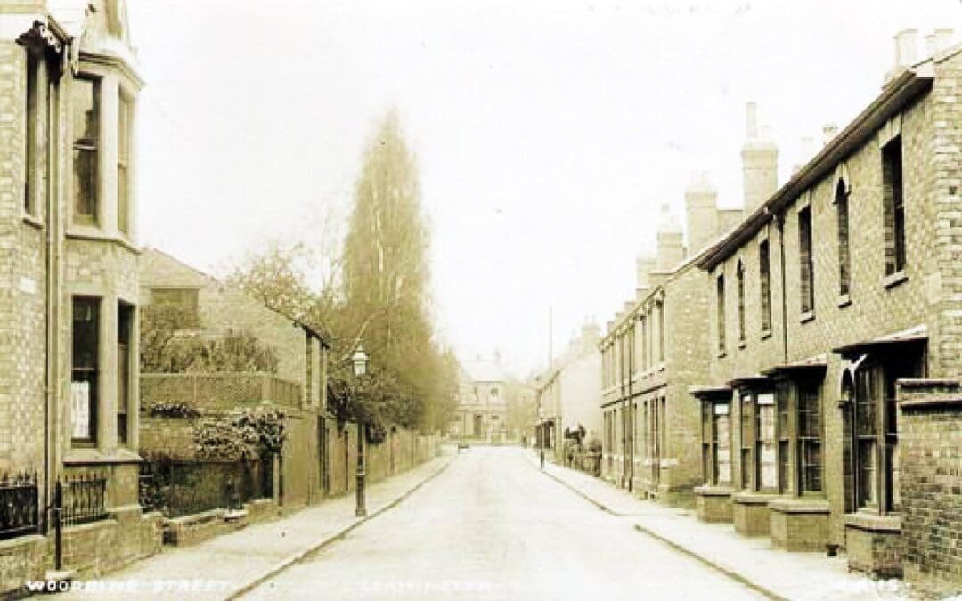 Woodbine Street, a Link to Local Information