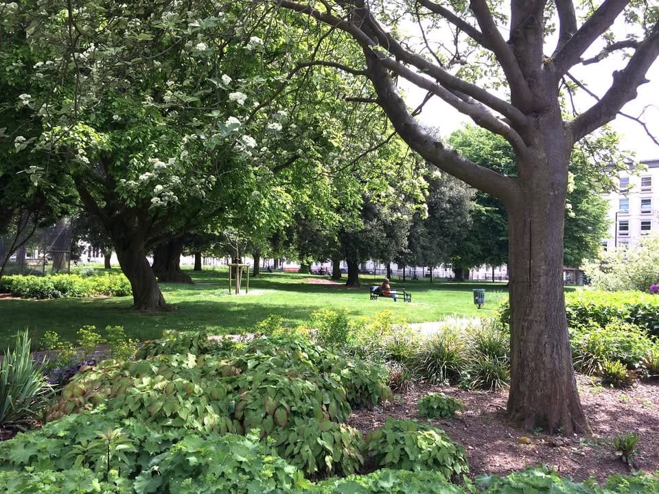 Leamington History Group Walks Christchurch Gardens Past, Present & Future